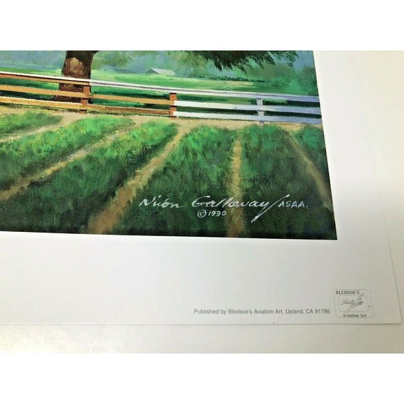 Barn Stormer by Nixon Galloway Aviation Art Print 1990 Bledsoe's Aviation Art - Picture 8 of 9